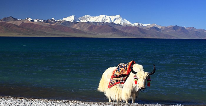 Nam Tso Lake and Mountain Nianqingtanggula